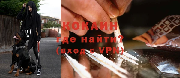 мдпв Вяземский
