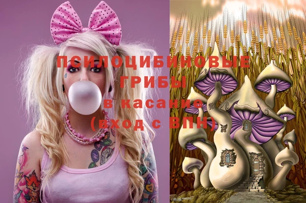 Альфа ПВП Вязьма