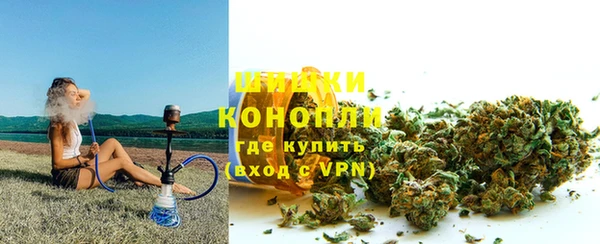мдпв Вяземский