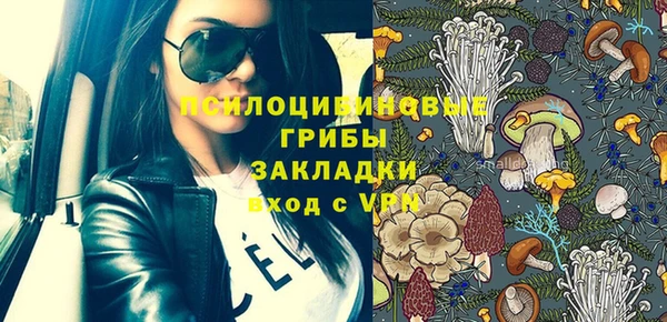 прущий лед Вязники