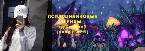 мдпв Вяземский
