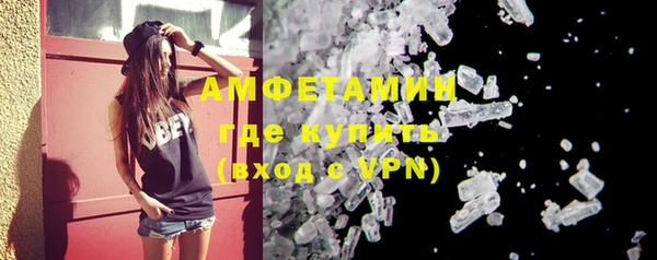 мдпв Вяземский
