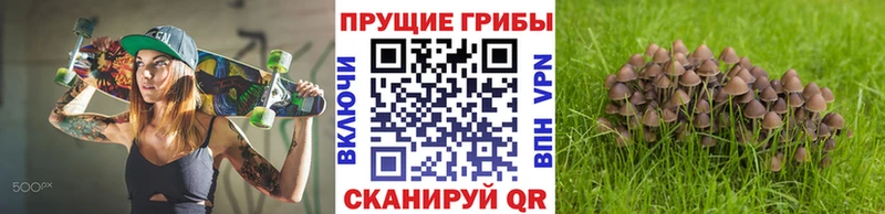 Купить закладки  Кандалакша  Галлюциногенные грибы GOLDEN TEACHER 